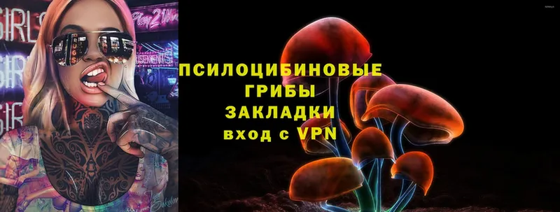 Псилоцибиновые грибы Psilocybine cubensis  Ахтубинск 